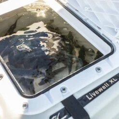 Hobie Livewell XL Kayak Bait Tank -HWS Sale Store 72020072 HOBIE LIVEWELL XL WITH BAIT